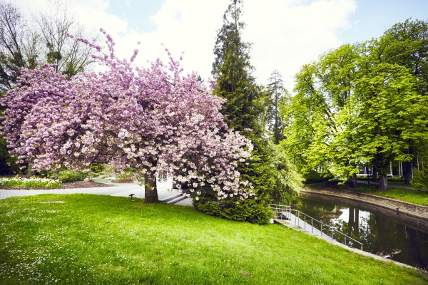 MONDORF Parc Hotel****Superior
